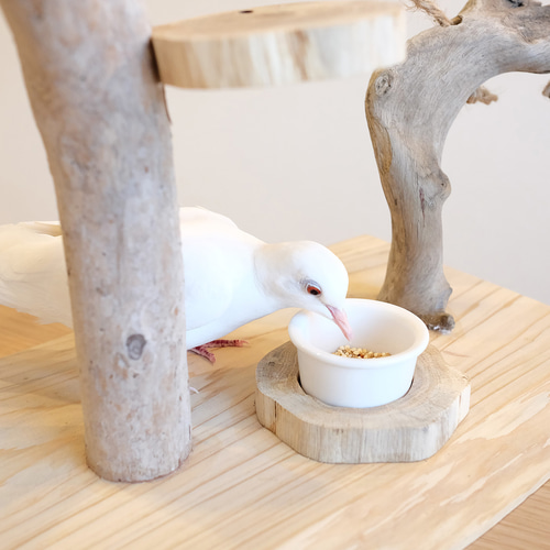 ヒノキ×流木】鳥さんの止まり木スタンド M｜ラダー付き おもちゃ