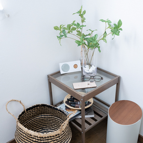 1点もの】割れない花瓶 L &ドウダンツツジ3本（観葉植物インテリア  