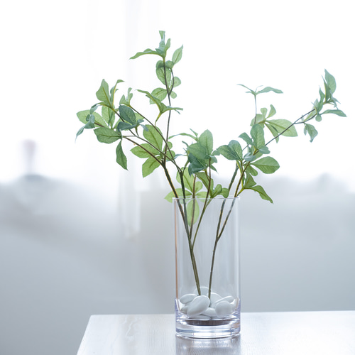 1点もの】割れない花瓶 L &ドウダンツツジ3本（観葉植物インテリア  
