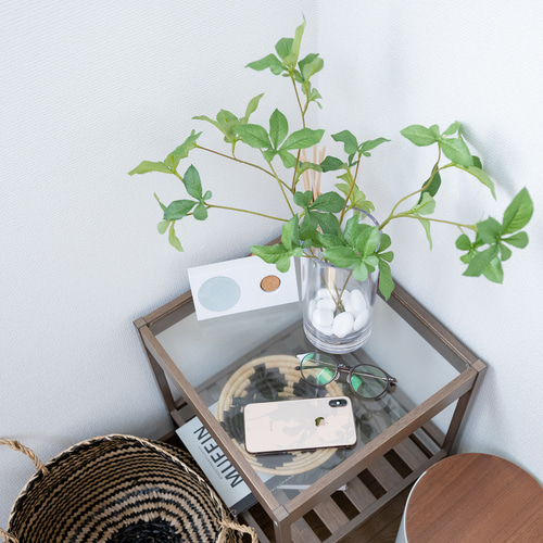 1点もの】割れない花瓶 L &ドウダンツツジ3本（観葉植物インテリア  