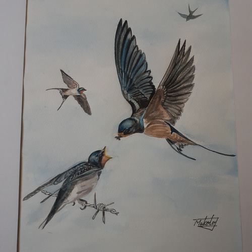 水彩画 ツバメが舞う 絵画 makochin 通販 16277047｜Creema