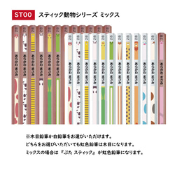 虹色えんぴつ入り！！名入れ鉛筆12本セット【黒えんぴつ11本＆虹色えんぴつ1本】スティック動物シリーズ 2枚目の画像