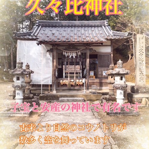 ◆❖白蛇と鳳凰の金運と恋愛御守り❖◆ 鳳凰 帯封 白蛇 スピリチュアル 風水 ◇❖白蛇と鳳凰の金 ☆運と恋愛御守り❖◇ 鳳凰 帯封 白蛇 スピリチュ
