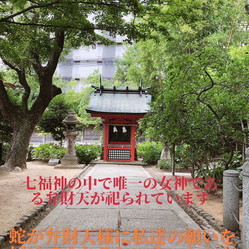 ◇❖白蛇と鳳凰の金 ☆運と恋愛御守り❖◇ 鳳凰 帯封 白蛇 スピリチュ