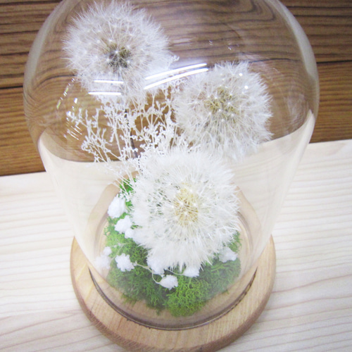 ハンドメイドドライフラワーたんぽぽディスプレードーム