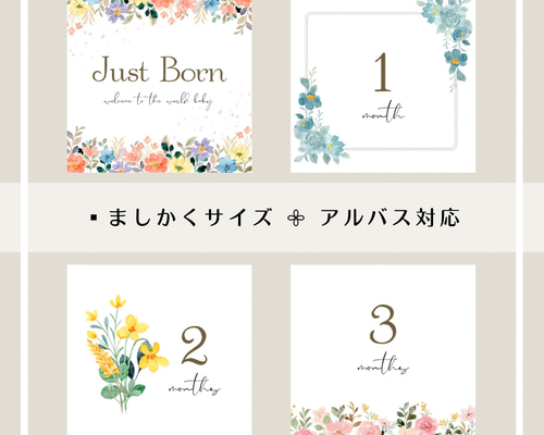 ◼︎ひまわり様 flower A マンスリーカード　月齢カード　ましかく　アルバス 送料無料】◼︎flower A マンスリーカード 月齢カード 花 花柄