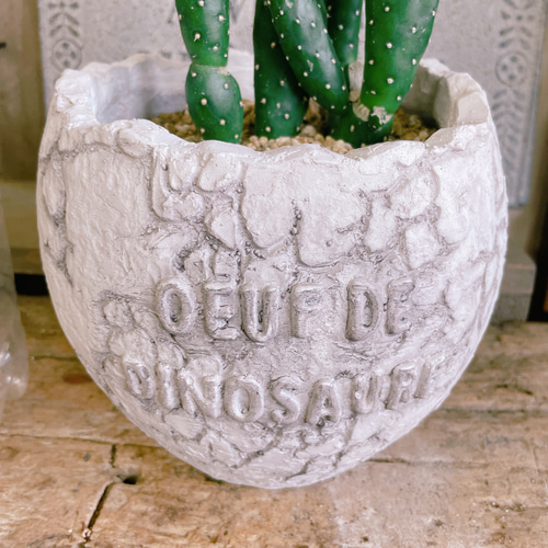 サボテンデザイン陶器食器セット sanwapotitto_19lh57-st