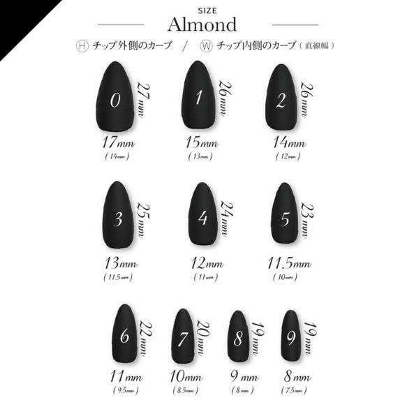 クリアチップサンプル　1〜6種類 6枚目の画像