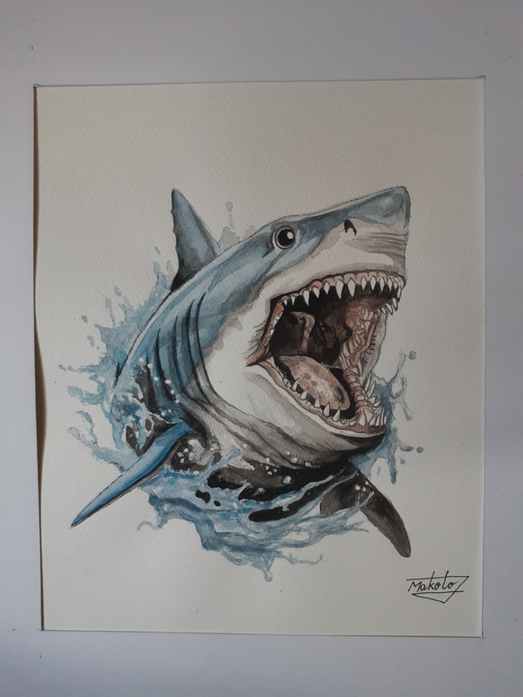 水彩画 シャーク 絵画 makochin 通販 16279957|Creema(クリーマ) 水彩画 シャーク 絵画 makochin 通販 16279957|Creema(クリーマ)