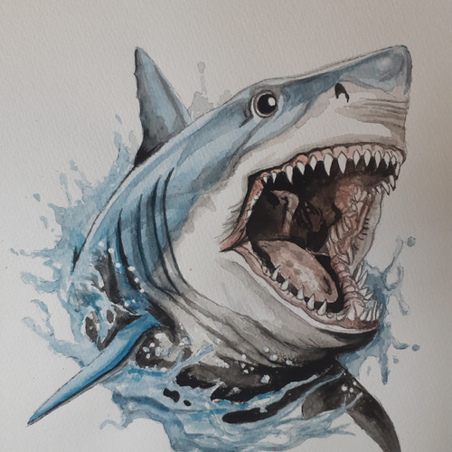 水彩画 シャーク 絵画 makochin 通販 16279957｜Creema(クリーマ)