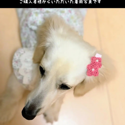 【再販×11】新色追加・パールがアクセント❤お花のヘアクリップ・ヘアアクセサリー・犬用ヘアクリップ・ベビーヘアクリップ 6枚目の画像