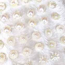 白蝶貝シェル 淡水真珠 ピアス✧イヤリング 5枚目の画像
