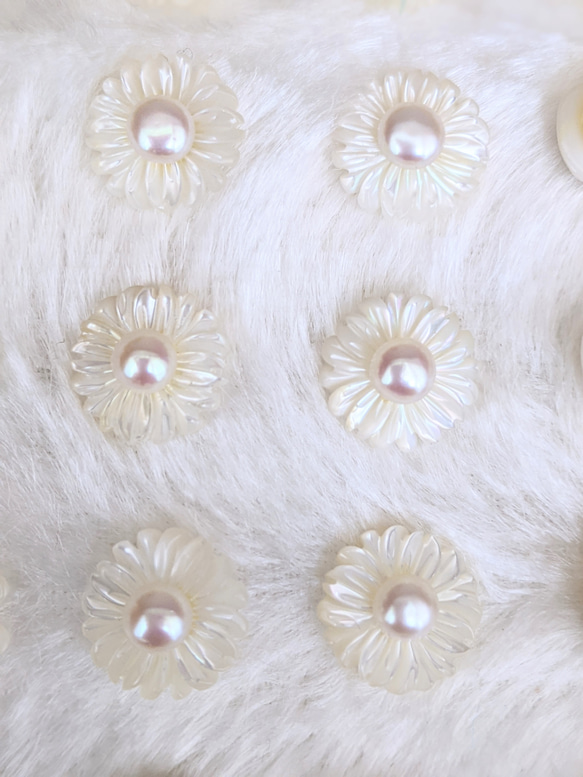 白蝶貝シェル 淡水真珠 ピアス✧イヤリング 2枚目の画像