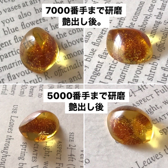  第4張的照片