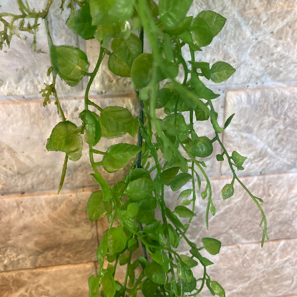 光触媒　人工観葉植物　ウォールグリーン　フェイクグリーン　壁掛け596540 9枚目の画像