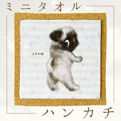 ポメラニアン】ハンカチタオルラッピング対応プレゼントにも♪ その他