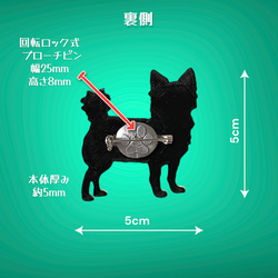  第4張的照片