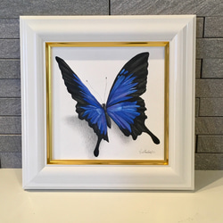 再販オーダー作品（オオルリアゲハ蝶とモナーク蝶の2点）ブラックタイガー様 1枚目の画像