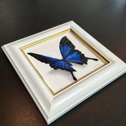 再販オーダー作品（オオルリアゲハ蝶とモナーク蝶の2点）ブラックタイガー様 5枚目の画像