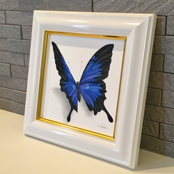 再販オーダー作品（オオルリアゲハ蝶とモナーク蝶の2点）ブラックタイガー様 3枚目の画像