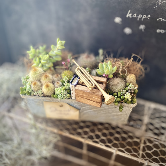 5－667、リメイク缶 リメイク鉢 リメ缶 多肉植物 観葉植物 【公式