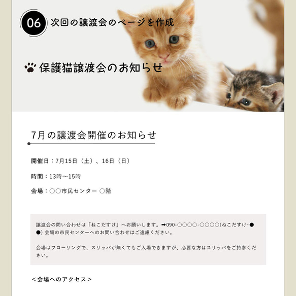保護猫サイトの更新（1ヶ月何ページでも♪） 7枚目の画像