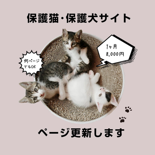 ねこねこ様オーダーページ①