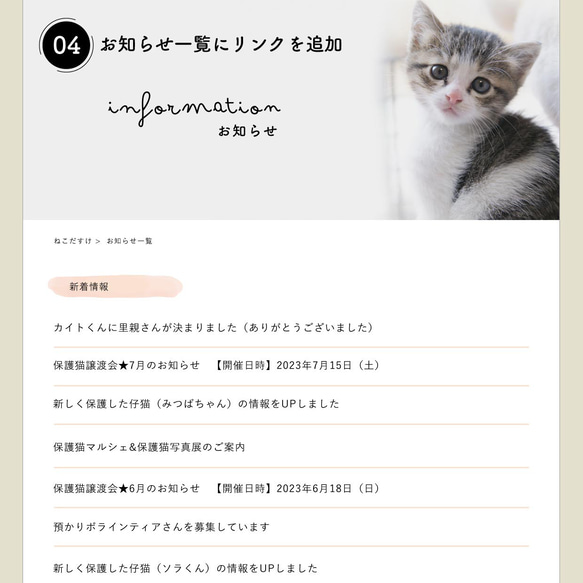 保護猫サイトの更新（1ヶ月何ページでも♪） 5枚目の画像