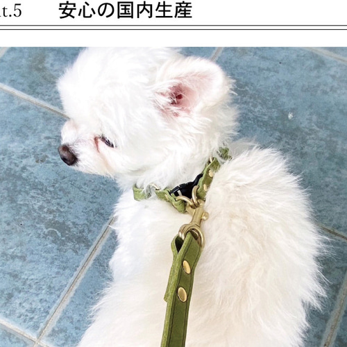 ペット用ハーネス（S～SS）栃木レザー モストロレザー ヌメ 60013