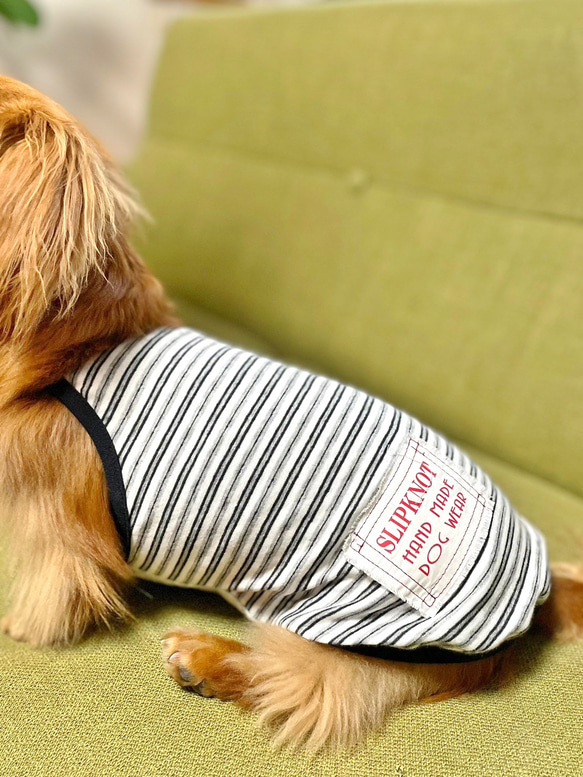 【送料無料】ダックス 小型犬用洋服 【ビアンコ】綿 キャミソール 犬服 ダックス プードル チワワ 8枚目の画像