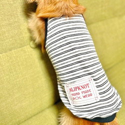 【送料無料】ダックス 小型犬用洋服 【ビアンコ】綿 キャミソール 犬服 ダックス プードル チワワ 5枚目の画像