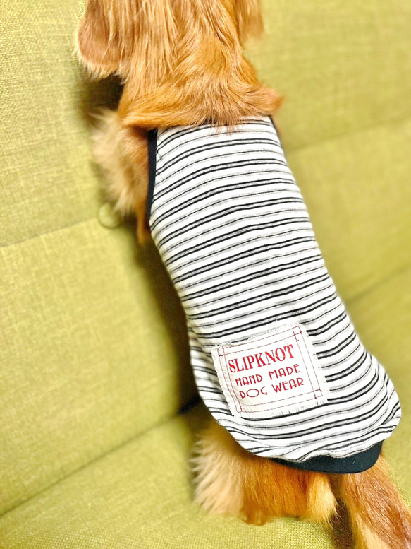 【送料無料】ダックス 小型犬用洋服 【ビアンコ】綿 キャミソール 犬服 ダックス プードル チワワ 5枚目の画像