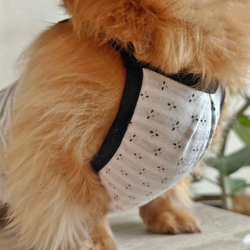 【送料無料】ダックス 小型犬用洋服 【ビアンコ】綿 キャミソール 犬服 ダックス プードル チワワ 9枚目の画像