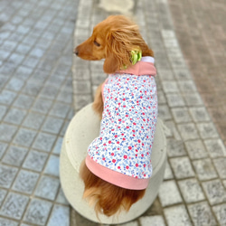 【送料無料】【桜と椿】ダックス 小型犬用洋服 綿 ノースリーブ フード 犬服 ダックス プードル チワワ 5枚目の画像