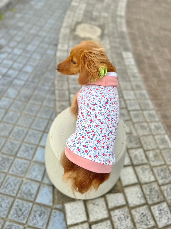 【送料無料】【桜と椿】ダックス 小型犬用洋服 綿 ノースリーブ フード 犬服 ダックス プードル チワワ 5枚目の画像