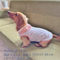 【送料無料】【桜と椿】ダックス 小型犬用洋服 綿 ノースリーブ フード 犬服 ダックス プードル チワワ 3枚目の画像