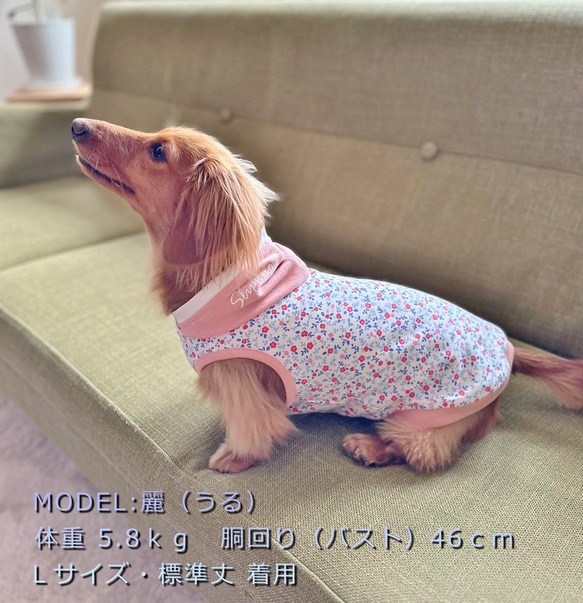【送料無料】【桜と椿】ダックス 小型犬用洋服 綿 ノースリーブ フード 犬服 ダックス プードル チワワ 3枚目の画像