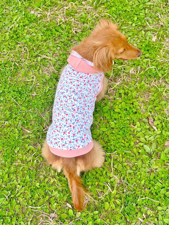 【送料無料】【桜と椿】ダックス 小型犬用洋服 綿 ノースリーブ フード 犬服 ダックス プードル チワワ 9枚目の画像