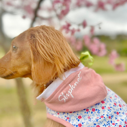 【送料無料】【桜と椿】ダックス 小型犬用洋服 綿 ノースリーブ フード 犬服 ダックス プードル チワワ 8枚目の画像