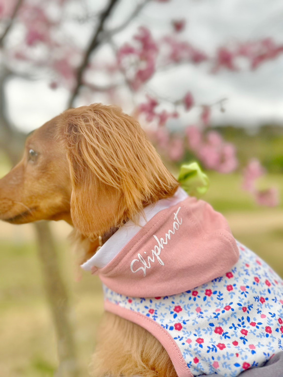 【送料無料】【桜と椿】ダックス 小型犬用洋服 綿 ノースリーブ フード 犬服 ダックス プードル チワワ 8枚目の画像
