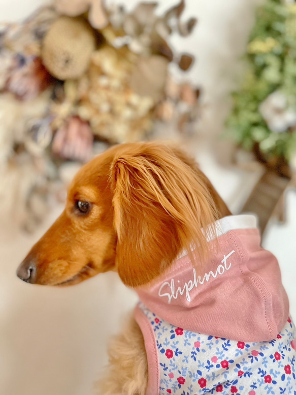 【送料無料】【桜と椿】ダックス 小型犬用洋服 綿 ノースリーブ フード 犬服 ダックス プードル チワワ 10枚目の画像