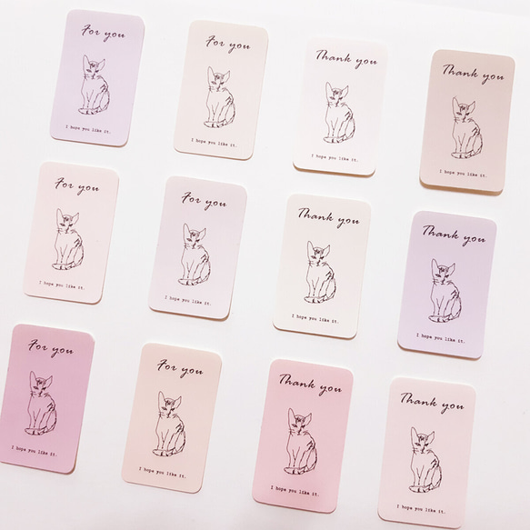 確認用猫ちゃんセット5ロール2500枚まとめ売り　ギフトシール　サンキューシール サンキューシール ロール売り ネコ柄 500枚 おまけ100枚