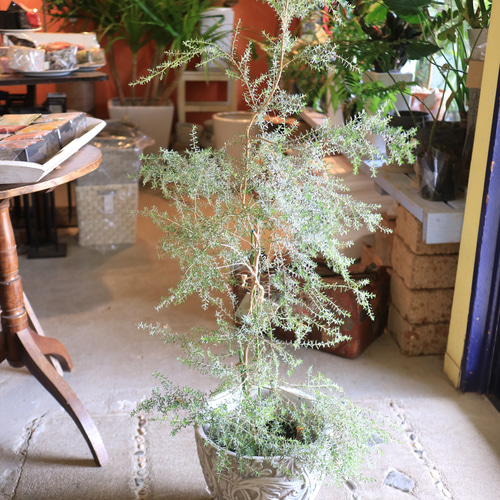 ♡*♡様 半額【超激レア】Think Bee! ボタンアートツリー レッドレンジャー最大の冒険: Kotobukiya 最新作