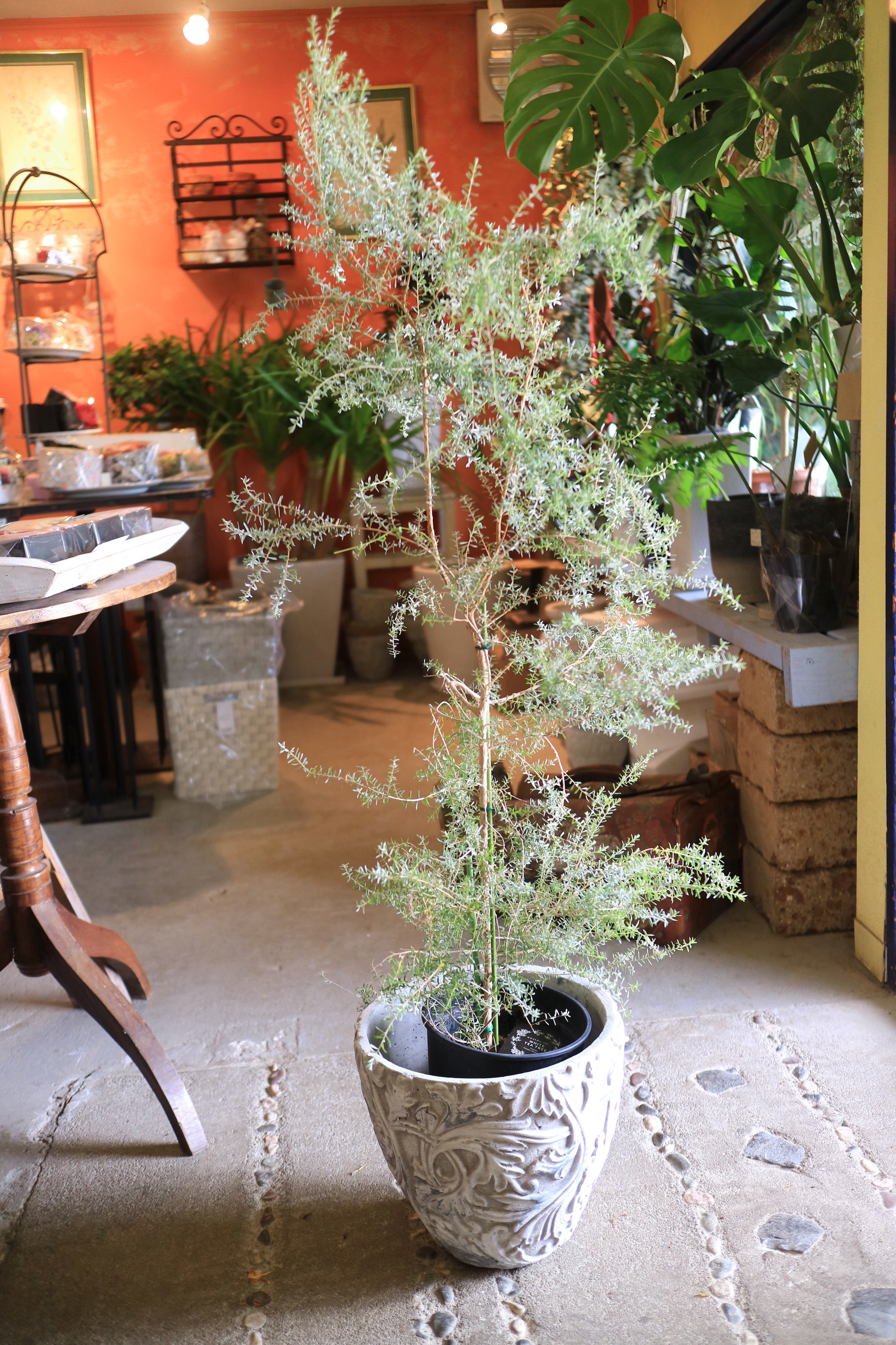 Bee! 半額【超激レア】Think ボタンアートツリー ♡*♡様