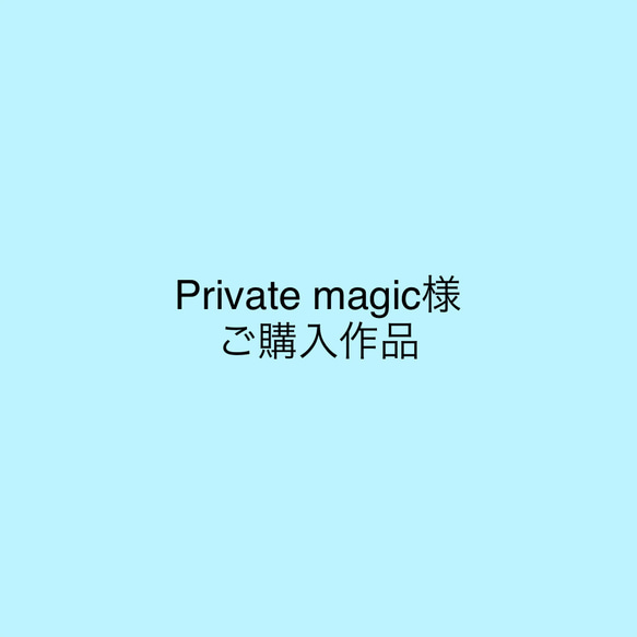 [Private magic様]オーダーメイドスノードーム 1枚目の画像