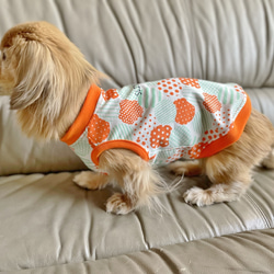 【送料無料】【ほのか】ダックス 小型犬用洋服 綿ノースリーブ 犬服 ダックス プードル チワワ 3枚目の画像