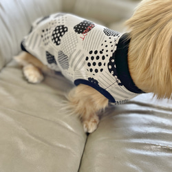【送料無料】【ほのか】ダックス 小型犬用洋服 綿ノースリーブ 犬服 ダックス プードル チワワ 7枚目の画像