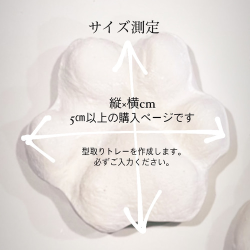 にくきゅうボード【丸型5センチ以上中・大型犬】ペット手形足形