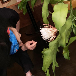 リアル月下美人（げっかびじん）ノ香　10mlor15ml　 queen of a night　生花の香りの再現　 7枚目の画像