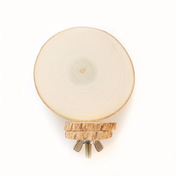 丸太のおやすみボード M｜白樺パーチ 1枚目の画像